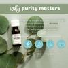 Aura Cacia Eucalyptus Essential Oil 15 ml view 4
