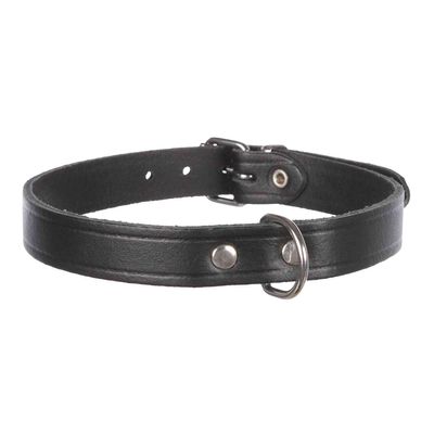 Trixie 19341 Basic Collar, M: 37–43 cm/18 mm, Black