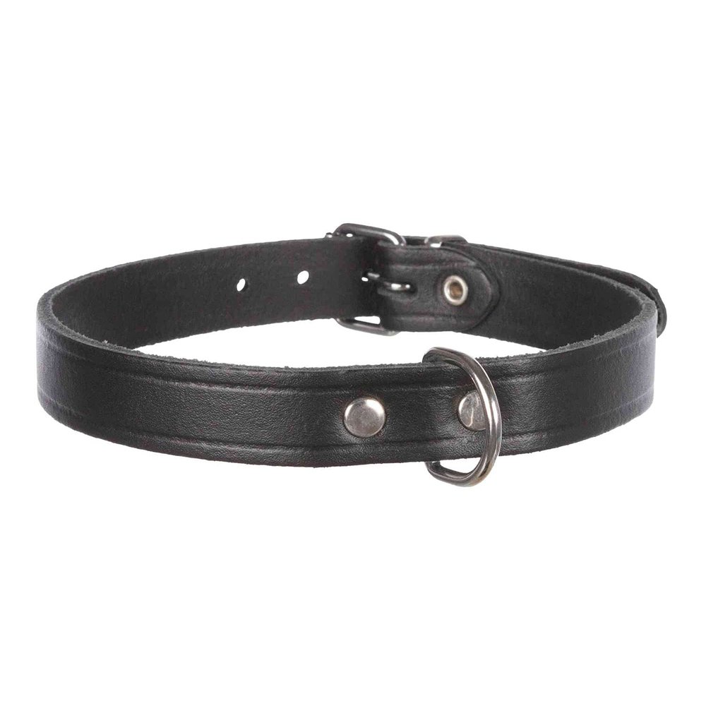 Trixie 19341 Basic Collar, M: 37–43 cm/18 mm, Black