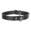 Trixie 19341 Basic Collar, M: 37–43 cm/18 mm, Black view 1