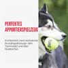 KONG SqueakAir Balls Premium Dog Toy, Squeaky Tennis Balls, Gentle on Teeth, 3-Pack, for Medium Dogs view 3