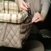 SOLVIT Pet Booster Seat, Large view 2