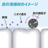 SUMIGAKI Japanese Charcoal Toothpaste view 2