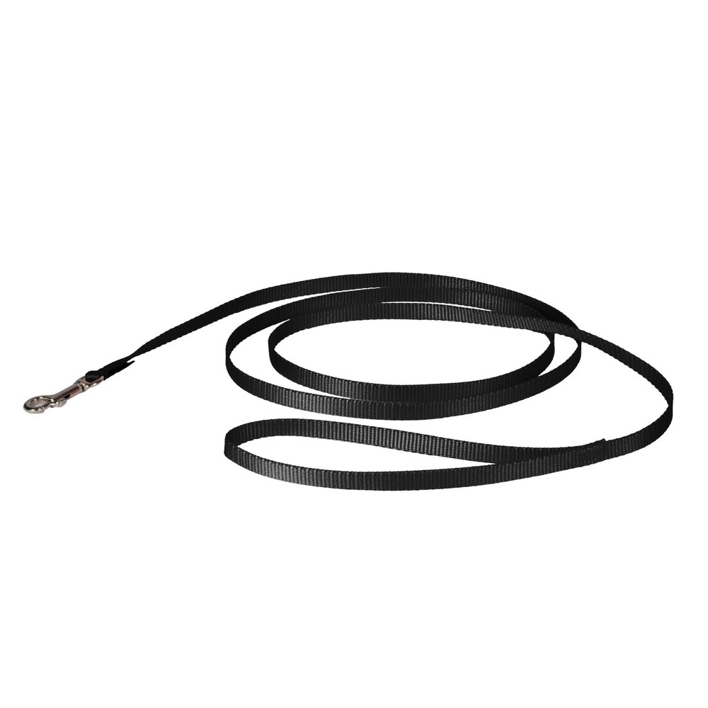PetSafe Nylon Leash, 0.75 in x 6 ft, Black LSH-3/8-X-6-BLK