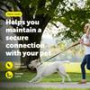 PetSafe Nylon Leash, 0.75 in x 6 ft, Black LSH-3/8-X-6-BLK view 2