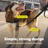PetSafe Nylon Leash, 0.75 in x 6 ft, Black LSH-3/8-X-6-BLK view 4