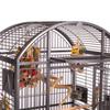 Montana Cages Hacienda Dome Bird Aviary for Small and Medium Parrots, Antique Edition, Approx. 91 x 71 x 165 cm view 4