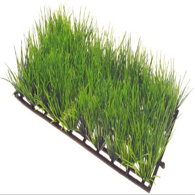 Hobby 41530 Plant Mat 1, 25 x 12.5 cm