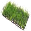 Hobby 41530 Plant Mat 1, 25 x 12.5 cm view 1