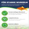 HOBBY Laterite Long-Term Root Fertilizer for Aquatic Plants view 2
