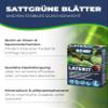 HOBBY Laterite Long-Term Root Fertilizer for Aquatic Plants view 3