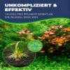 HOBBY Laterite Long-Term Root Fertilizer for Aquatic Plants view 4