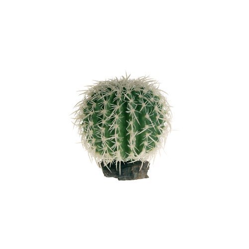 Hobby 37049 Sierra Nevada Cactus