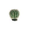Hobby 37049 Sierra Nevada Cactus view 1