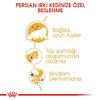 Royal Canin 55161 Persian Cat Food, 2 kg view 4