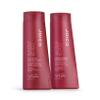 Joico Color Endure Conditioner, 300 ml view 2