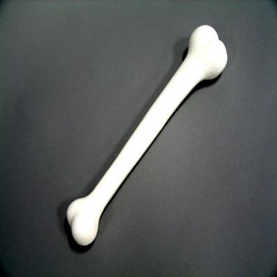 Bone approx. 41cm white Stone Age accessory