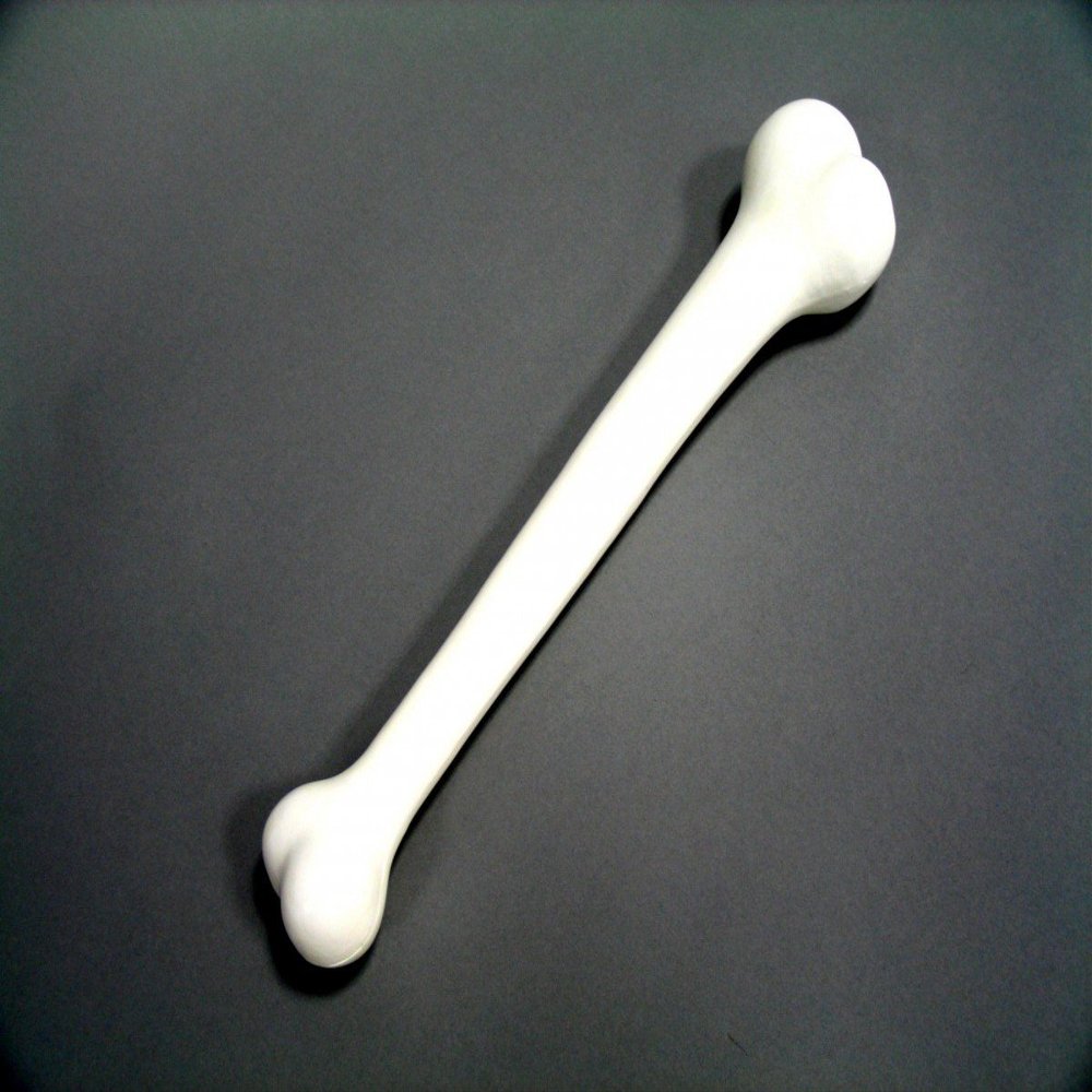 Bone approx. 41cm white Stone Age accessory