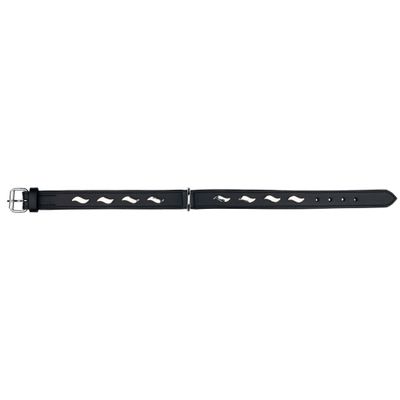 TRIXIE Active Collar with Stylish Designs