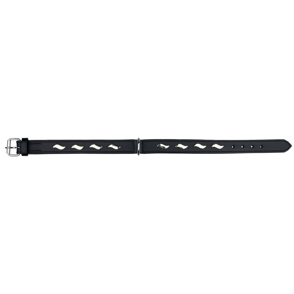 TRIXIE Active Collar with Stylish Designs