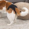 Trixie 23492 Protective Pants, SM: 32-39 cm, Black view 2
