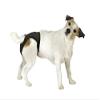Kerbl Pet Luxury Protective Pants Black Size 2 view 2