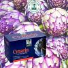 BADER’s Cynarin Artichoke Rooibos Tea, Vanilla, 20 Tea Bags view 3