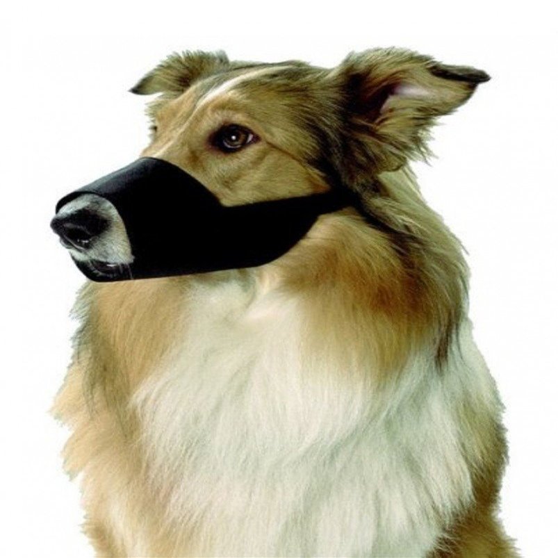 Karlie Nylon Muzzle