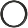 Eheim 6735 O-Ring for 2250/2260 view 1