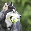 KONG SqueakAir Balls Premium Dog Toy, Squeaky Tennis Balls, Gentle on Teeth, 3-Pack, for Small Dogs view 2