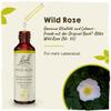 Original Bach Flower Drops No. 37 Wild Rose: Develop Enthusiasm & Interest with the Bach Flower Wild Rose, 20 ml view 2