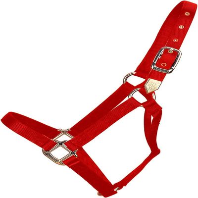 Hamilton Horse Halter, 2.5 cm, Nylon