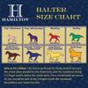 Hamilton Horse Halter, 2.5 cm, Nylon view 3