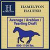 Hamilton Horse Halter, 2.5 cm, Nylon view 4