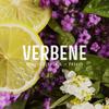 Panier des Sens Verbena Liquid Hand Soap, 500 mL view 2