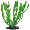 Hobby Vallisneria, 20 cm view 1