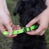 Ferplast Adjustable Dog Collar, Size M, Blue view 4