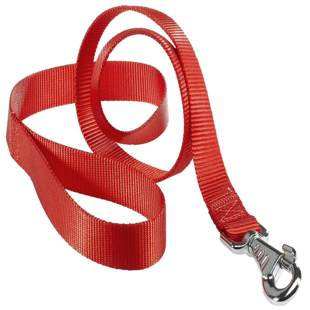 Ferplast Nylon Dog Leash CLUB