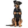 HUNTER SWISS Dog Collar, Brown/Black, Cowhide Leather, Handcrafted, Swiss Cross, Made in Germany, Size 42 view 3