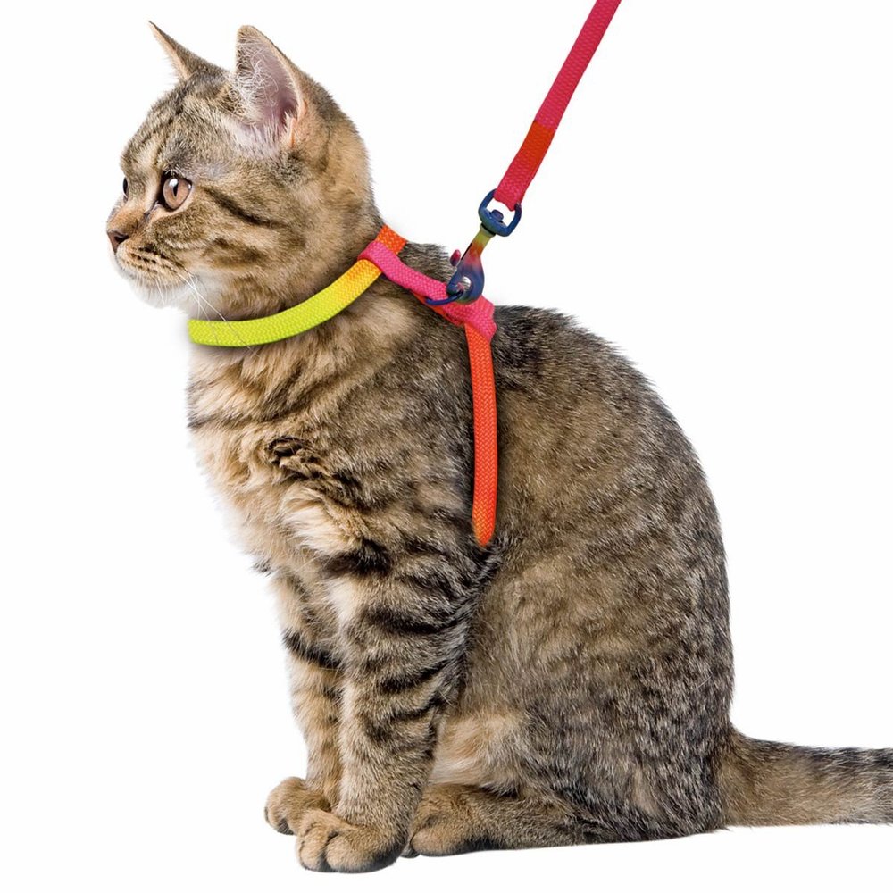 Kerbl Pet Cat Harness Rainbow 10 mm / 120 cm