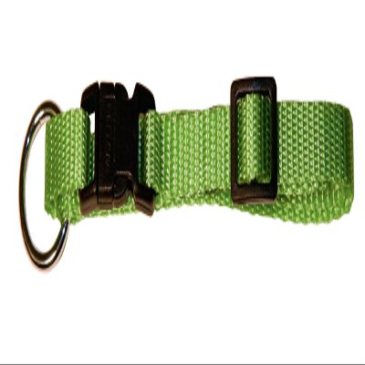 Kerbl Pet Collar Miami