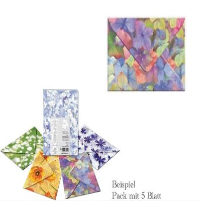 Transparent B6 Covers, 5-Pack, Flora Hydrangea