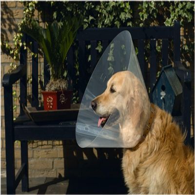 Beeztees Plastic Dog Collar, 31-38 x 15 cm