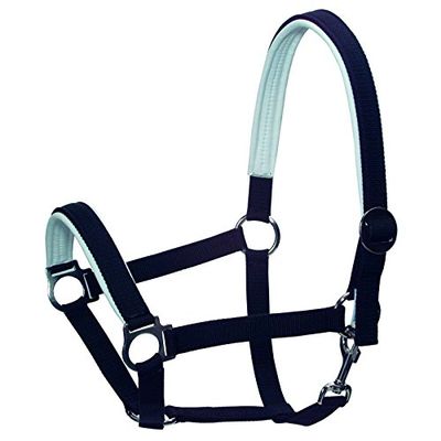 Padded Halter, Thoroughbred, Size 2