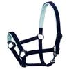Padded Halter, Thoroughbred, Size 2 view 1
