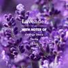 goldbugpapageien Lavender Liquid Hand Soap Refill with Olive Oil and Aloe Vera (33 oz) view 3