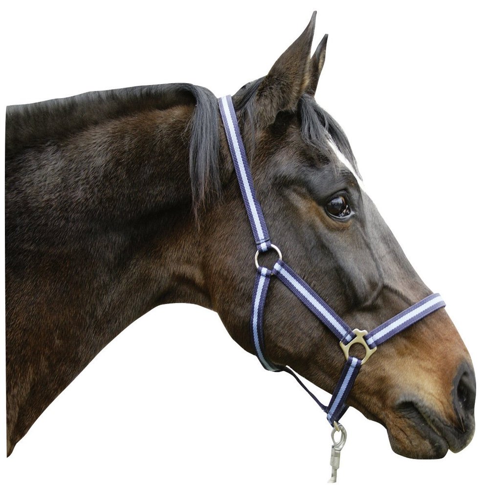 Kerbl Nylon Halter Hippo, Marine/Light Blue