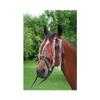 Fly Fringe Band for Ponies view 1