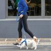 Rogz Utility Small 3/8" Reflective Nitelife Dog Leash view 2