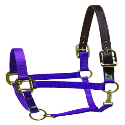 Perri's Premium Nylon Safety Halter, Purple